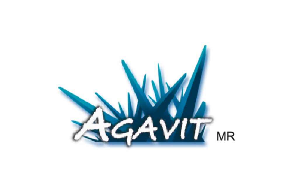 Agavit