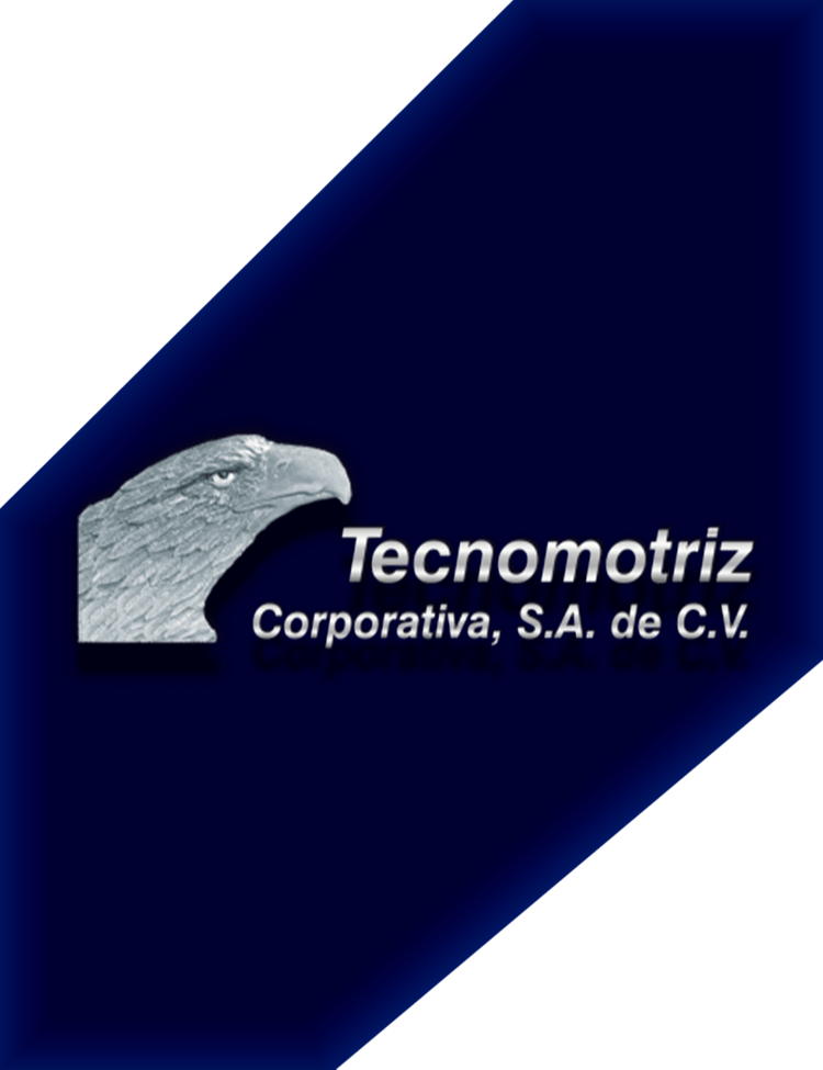 Tecnomotriz Corporativa